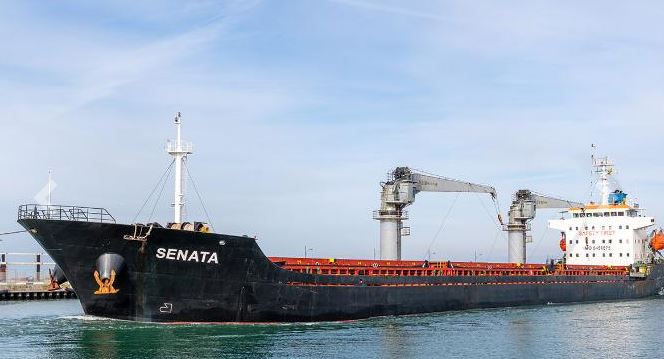 Hull Thickness Survey